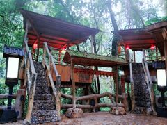 -天门沟九州驿站树上汤泉