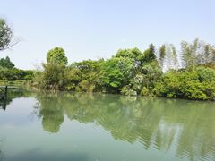 -西溪国家湿地公园