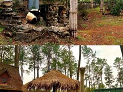 -安吉竹博园
