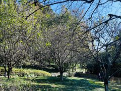 -一江春水·杭帮臻宴(三台山店)