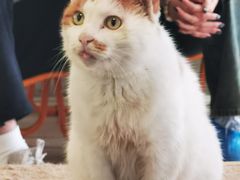 -平行世界·猫咖(首经贸店)