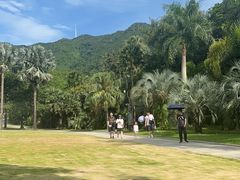 -深圳仙湖植物园