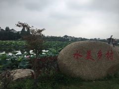 -东山香樟园