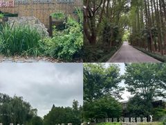 -同里国家湿地公园