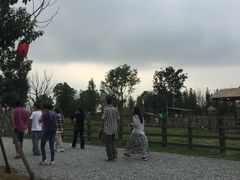 -田园东方蜜桃村的田野营地