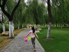 -西北湖绿化广场