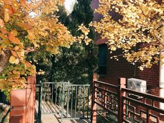 -北坞公园