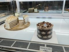 -TD66高山铁皮石斛养生茶饮