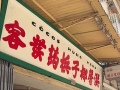 -洪馨椰子