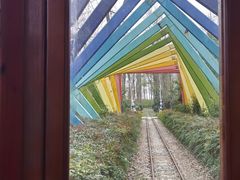 -合肥滨湖国家森林公园