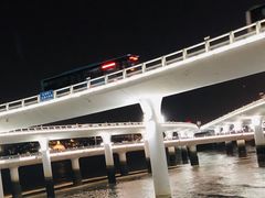 -演武大桥观景平台