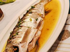 -老山东·山东菜(鲁菜名店)