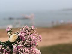 -青岛第三海水浴场