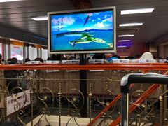 醉蟹-原製原味(普陀山磐龙店)