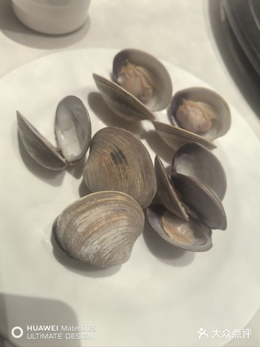 青蓬蒸汽海鲜·深圳老字号·团建聚会(壹方城店)图片