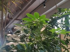 -Wagas沃歌斯(北京君太百货店)