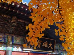 -红螺寺