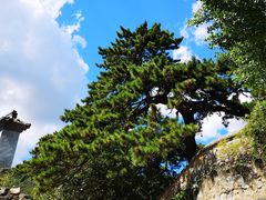 -阳台山自然风景区