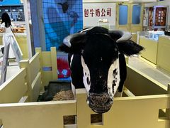 -红星前进面包牛奶公司(君太店)