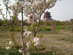 -古柏渡飞黄旅游区