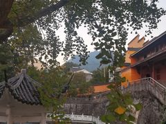 -东天目山风景区