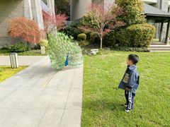 -天目湖涵田度假村