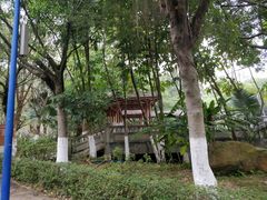 -滴水岩森林公园