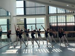 -西安小天鹅艺术团(曲江Alice店)