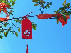 -句容茅山景区