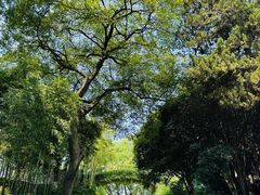 -菊花台公园