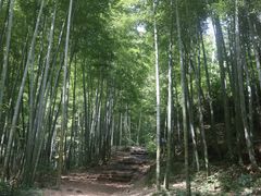 -莫干山风景区