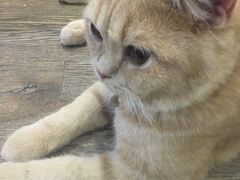 -小时光咖啡馆(开森度假森林店)