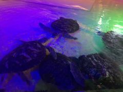 -华夏文旅海洋公园