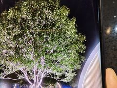 -桂花寨(北碚二店)