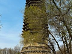 -玲珑塔公园