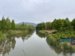 -三垟湿地