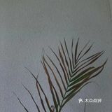 我要用世外桃源来形容普者黑！太美太静谧了