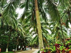 -白沙门生态公园