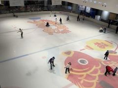 -TheRink大零溜冰场(IFS国金中心店)