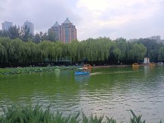 -团结湖公园
