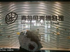 -青岛贝壳博物馆