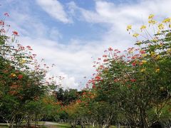 -南山植物园