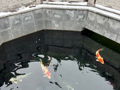 -西安市广仁寺