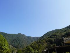 -龙坞茶村