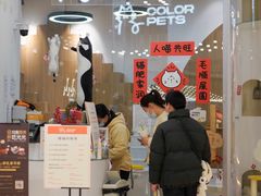 -COLOR PETS 撸猫馆·购猫·猫咖(长风大悦城店)