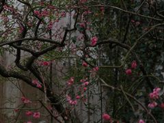 -郭庄景区