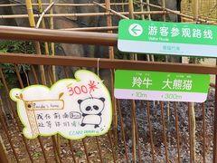 -武汉动物园