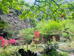 -水墨汀溪风景区