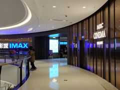 -万象影城(石家庄万象城IMAX激光店)