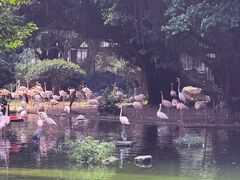 -九龙公园